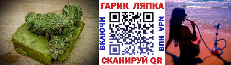 где найти   Балей  Canna-Cookies марихуана 
