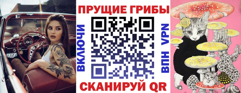 hydra как зайти  Балей  Псилоцибиновые грибы мухоморы 