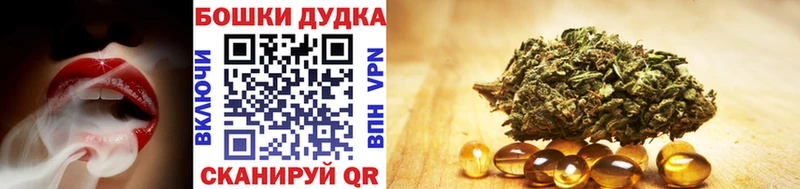 Каннабис AK-47 магазин продажи МЕГА tor Балей
